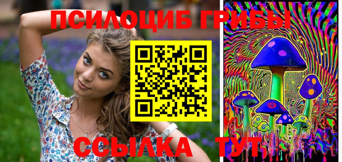 Псилоцибиновые грибы Cubensis  Псилоцибиновые грибы GOLDEN TEACHER  цены наркотик  Волжский  Вход с VPN 